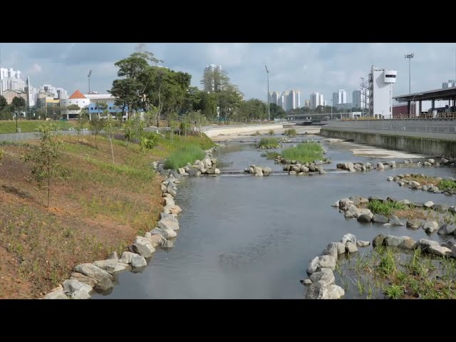 Drainage Improvement at Kallang River (Bishan Road - Braddell Road)