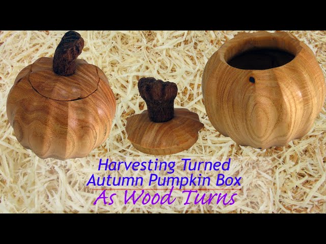 Harvesting Turned Autumn Pumpkin Box