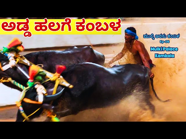 🐃ಅಡ್ಡ ಹಲಗೆ-ಕಣೆ ಹಲಗೆ ಕಂಬಳದಲ್ಲಿ ಕೋಣಗಳು ನೀರೆಬ್ಬಿಸುತ್ತಾ ಓಡೋದು!E06-Mulki Arasu Kambala-Kalamadhyama