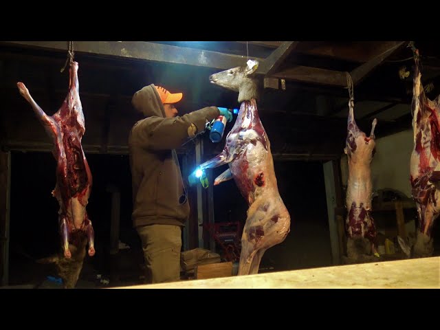 HOW TO REMOVE DEER HAIR OFF MEAT AFTER SKINNING - THE TORCH METHOD - Easy Quick Simple Way To Clean