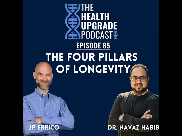 The Four Pillars of Longevity