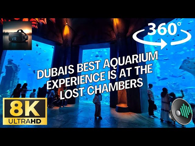 Underwater Experience in The Lost Chambers Aquarium at Jumeirah Palms, Dubai, United Arab Emirates