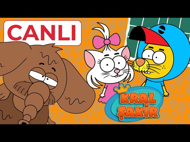 Kral Şakir Canlı Yayın 7/24 Full HD İzle 🔴 #canlıyayın #animation