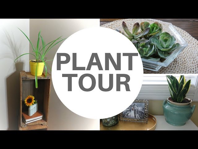 MY INDOOR PLANT FAMILY TOUR | FARMHOUSE STYLE DECORATING WITH PLANTS|  SPRING 2018