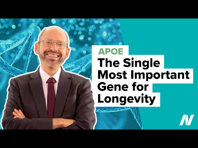 ApoE—The Single Most Important Gene for Longevity