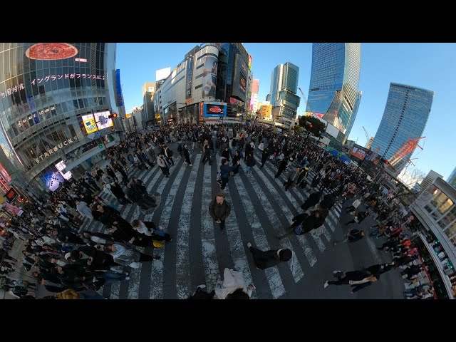 Shibuya Crossing Day Time | Immersive 360 VR