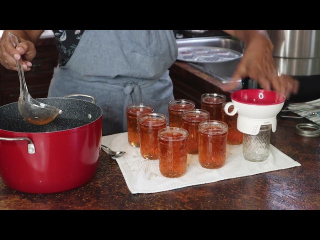 Transform Apple Scraps into Jelly | Easy Waterbath Canning