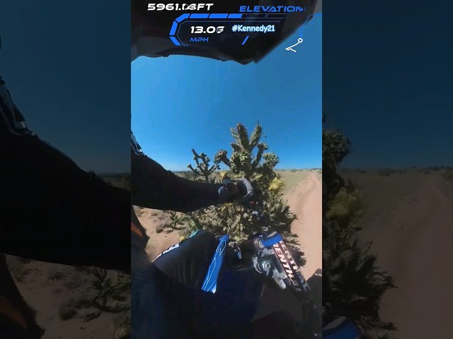 Crashed my dirt bike into a cactus. 🤪