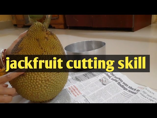 Jackfruit cutting skill এইভাবেপাকাকাঁঠাল  কাটলে হাতে একটুকুও আঠা লাগবে না।