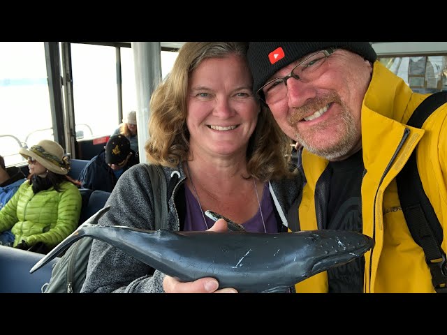 Whale Watching and the Red Dog Saloon in Juneau, Alaska