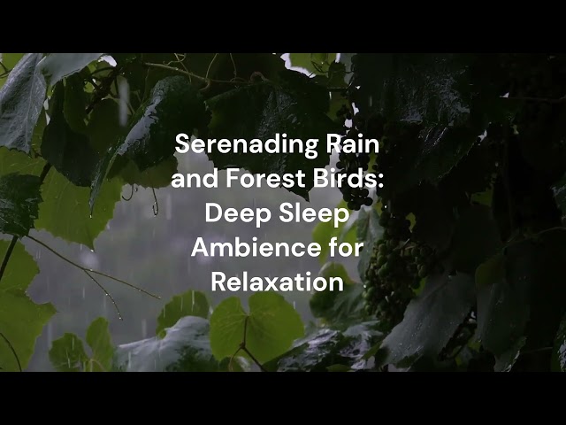 Serenading Rain and Forest Birds: Deep Sleep Ambience for Relaxation and Ultimate Stress Relief