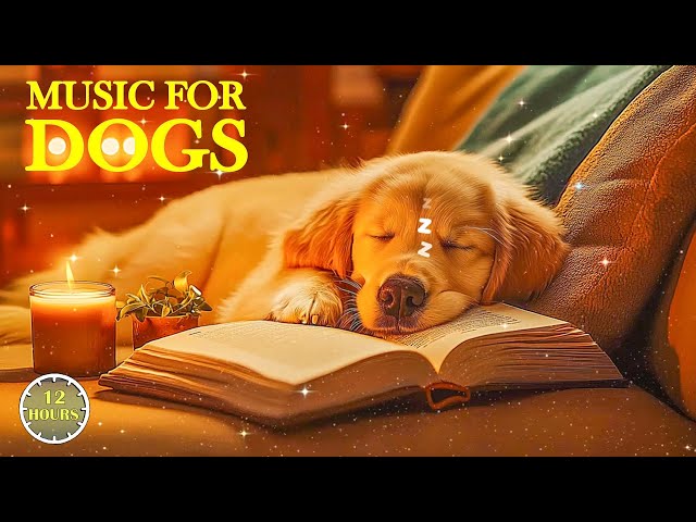 [NO ADS] Sleep Music For Dogs 🐶🎵Music Help Reduces Separation Anxiety For Dogs When Home alone 🐾