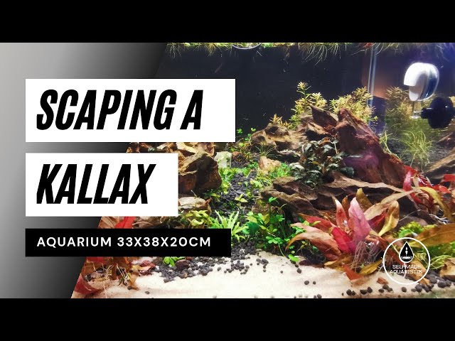 Relaxing Aquascaping ASMR 4K - Scaping a Kallax Aquarium (NO MUSIC/NO SPEAKING)