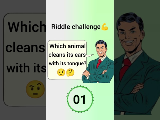 Riddle challenge || Best riddles