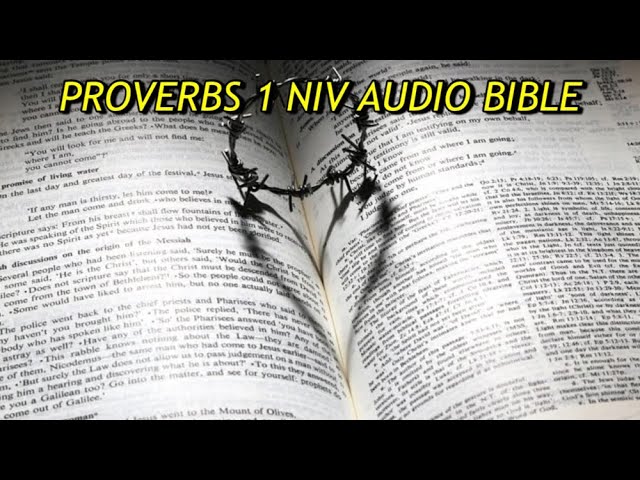 PROVERBS 1 NIV AUDIO BIBLE(with text)