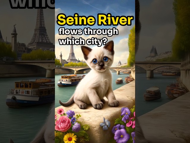 【CAT STORY】 GUESS The Seine River flows through which city? #quiz #shorts #subscribe #cat #cute