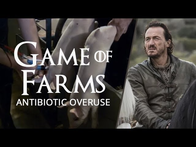 Game of Farms: Ep.4 - Antibiotic Overuse