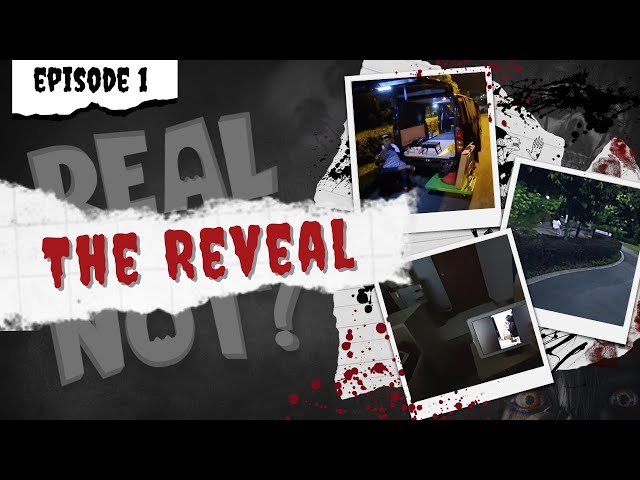 Real or Not - Episode One (Backstory)