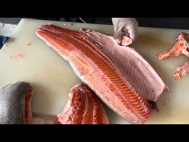 Professional salmon cutting! #salmon #food #sashimi #cooking #chef