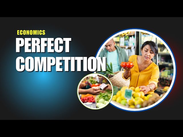 Perfect Competition Explained