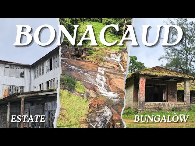 Exploring Bonacaud:  The 175 Year Old Haunted Banglaw & Abandoned Estate inside Deep Forest