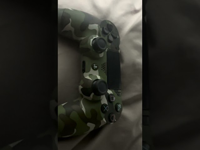 PS4 Controller