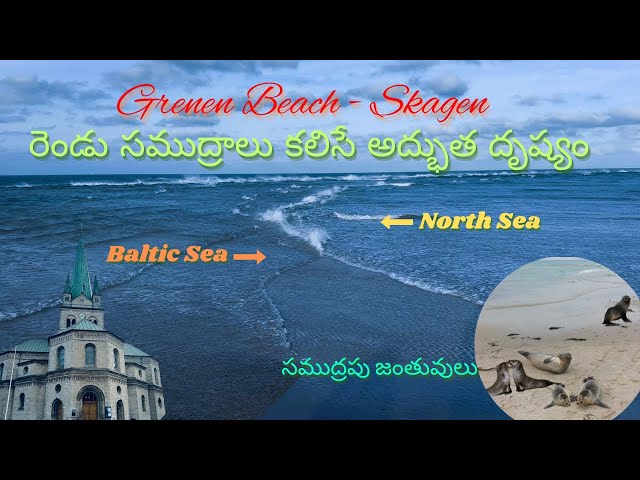 రెండు సముద్రాలు కలిసే అద్భుత దృష్యం | North & Baltic Sea Meeting Point | Grenen Beach Skagen | Seals