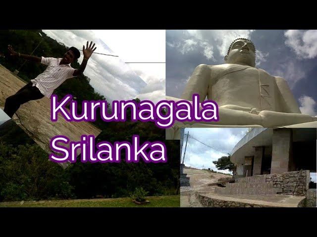 srilanka tourist place #srilanka #travel #trending #kurunagala #tourism #vlog #youtube #google