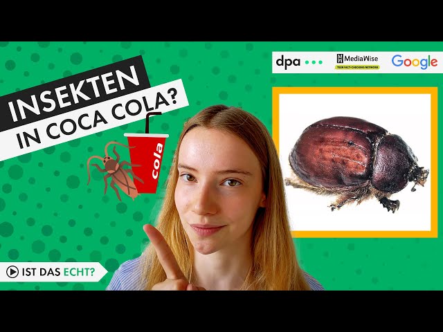 Teen-Faktencheck: Wieso ist Cola braun? Sie ist mit Farbstoff, aber ohne Insekten gefärbt