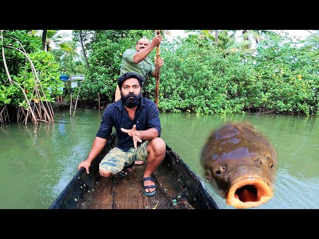 M4 TECH Catching Fish | മീൻ പിടിച്ചു പൊള്ളിച്ചത് | M4 TECH VLOG |