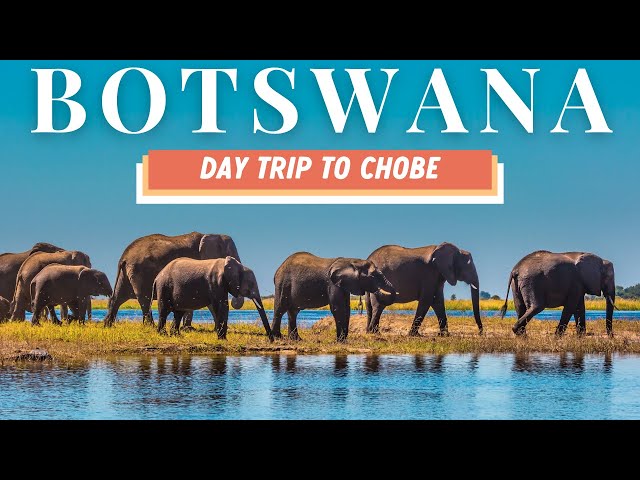 Epic Day Trip from Victoria Falls: Safari in Botswana’s Chobe National Park