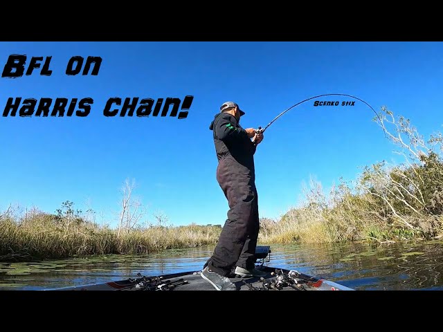 February BFL on the Harris Chain