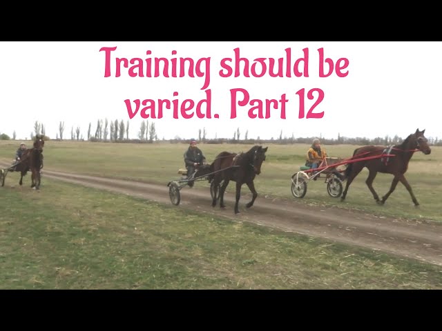 Training should be varied  Part 12