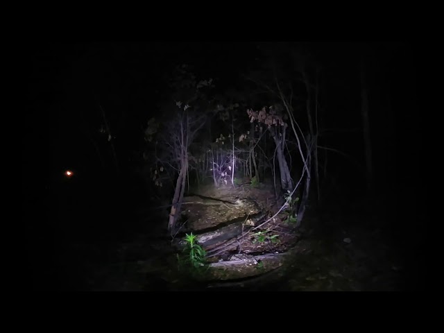 3D 180 Night in Woods Recording Light Test