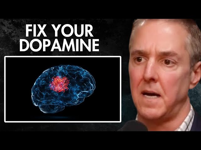 #1 Harvard Doctor: The Secret To Resisting Dopamine & Resetting Your Mind | Dr. Chris Palmer