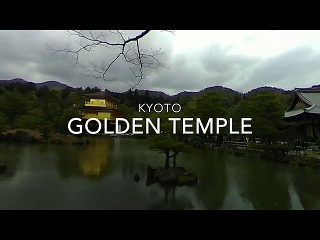 Golden Temple & Sushi in Kyoto