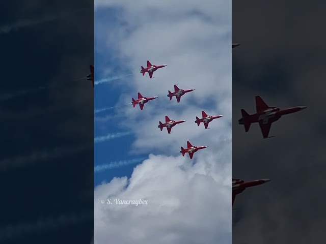 #patrouillesuisse #switzerland #formation #flying #f5 #youtubeshorts #foryou