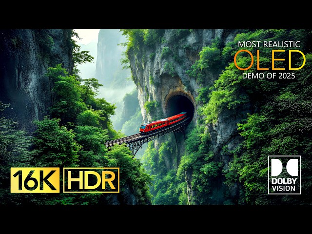 Best OLED Demo Dolby Vision 16K HDR 120fps