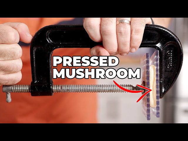 Should YOU PRESS your MUSHROOMS?