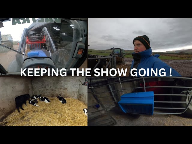 FARMING IMPROVEMENTS AND CALVING CONTINUES !