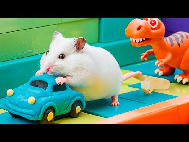 🐹 Hamster vs Pop It maze for pets 🐹 Escape in the Best Hamster Challenges #157