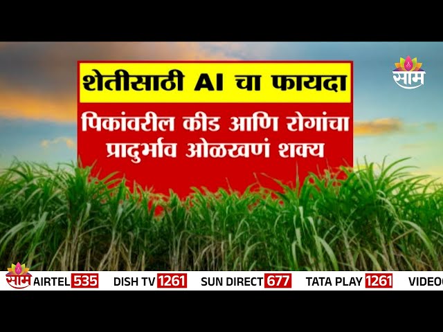 09:00 PM Full Bulletin : शेतीसाठी AI चा फायदा | AI Benefits For Agriculture | Marathi News