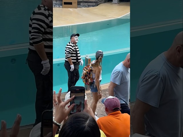 This guy 🤣🥰 Hilarious Tom the Mime #seaworldmime #comedyshorts #funny #comedyvideos #tomthemime