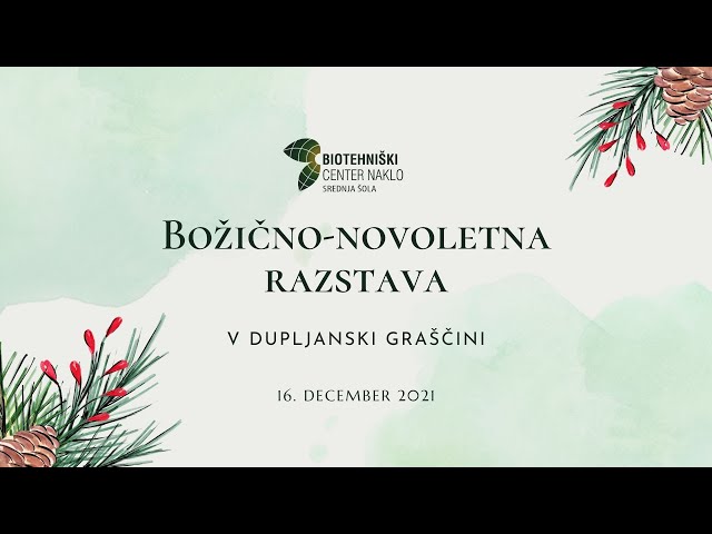 Božično-novoletna razstava