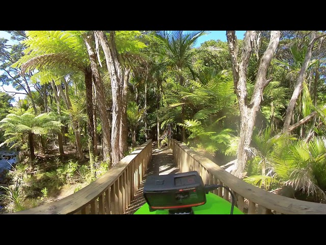 Amazing New Zealand native forest walk in Karekare ranges and Kitekite Falls / Auckland 360 degrees