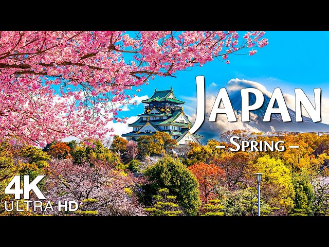 Spring Japan 4K Ultra HD 🌸 Scenic Relaxation Film, Stunning Cherry Blossoms with Calming Music