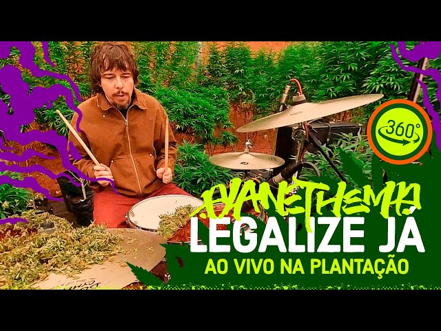 Planet Hemp - Legalize Já (Ao Vivo Na Plantação) [Versão 360º]