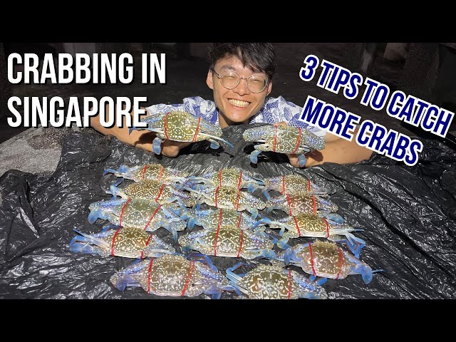 CRABBING at Changi Beach | 3 Tips for Catching Crabs Effectively in Singapore