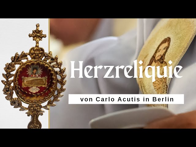 Herzreliquie des seligen Carlo Acutis in Berlin | Vortrag von Pater Marco Gaballo OFMCap