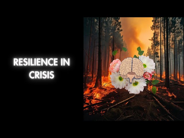 Surviving the Flames - California Fires & Trauma #palisadesfire  #eatonfire